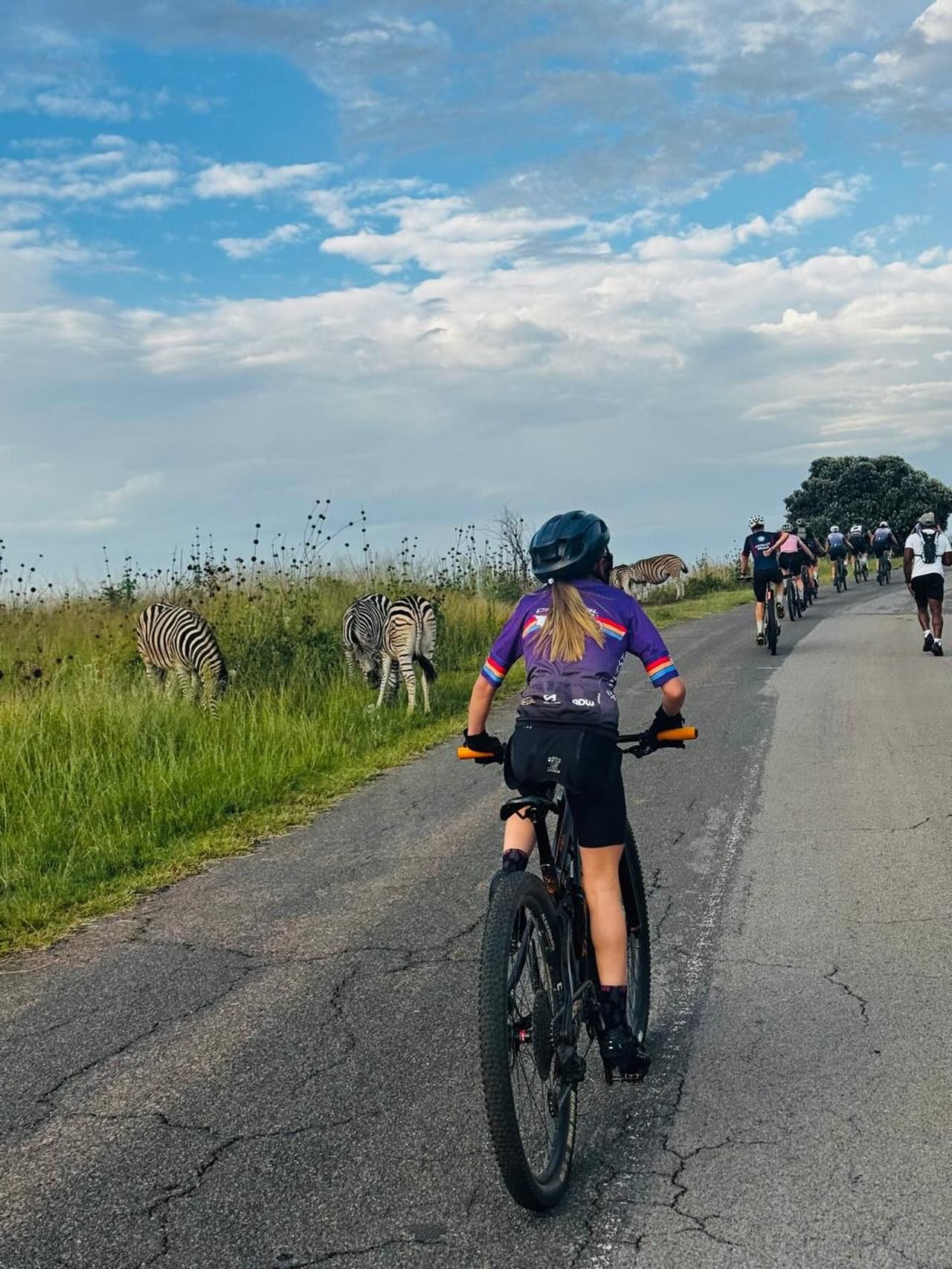 Caracal Velocity Training